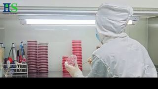 Serie di membrane a guscio d'uovo ELASEM®: la soluzione di materie prime per la salute e la bellezza delle articolazioni