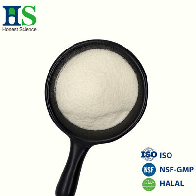 Produttore di peptidi di collagene bovino idrolizzato sfuso e fornitore certificato halal