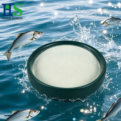 Polvere di peptidi proteici di collagene di pesce idrolizzato sfuso con certificazione HALAL/ISO