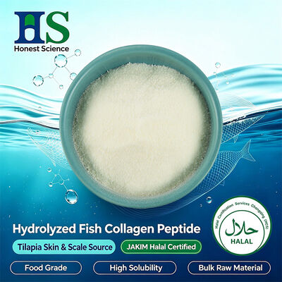 JAKIM Halal Certified Tilapia Skin & Scale Collagen Peptide Powder. Materia prima Produttore di collagene marino idrolizzato